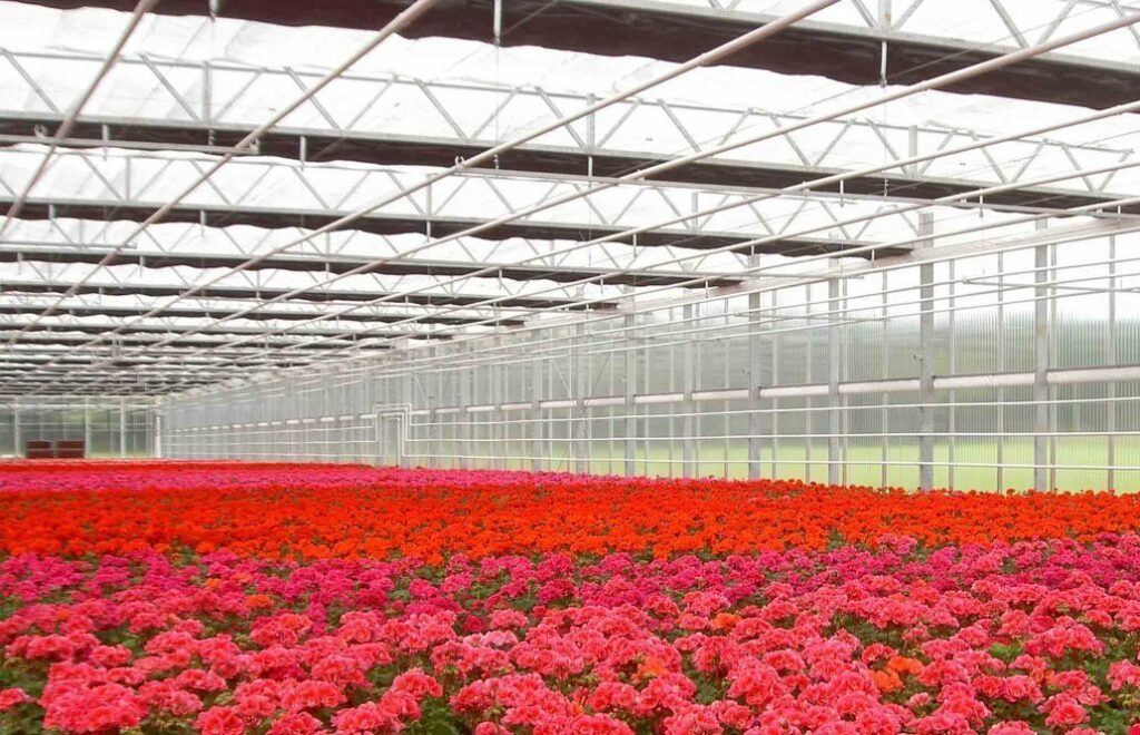 acrylic-for-greenhouse-acrylite-alltop-