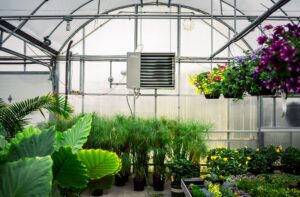 Greenhouse heating