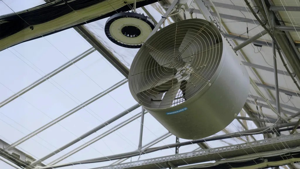 air blowers