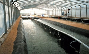aquaculture drop tank liners