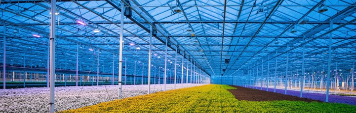 polycarbonate sheet panels