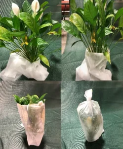 frost tube for plants and shrubs